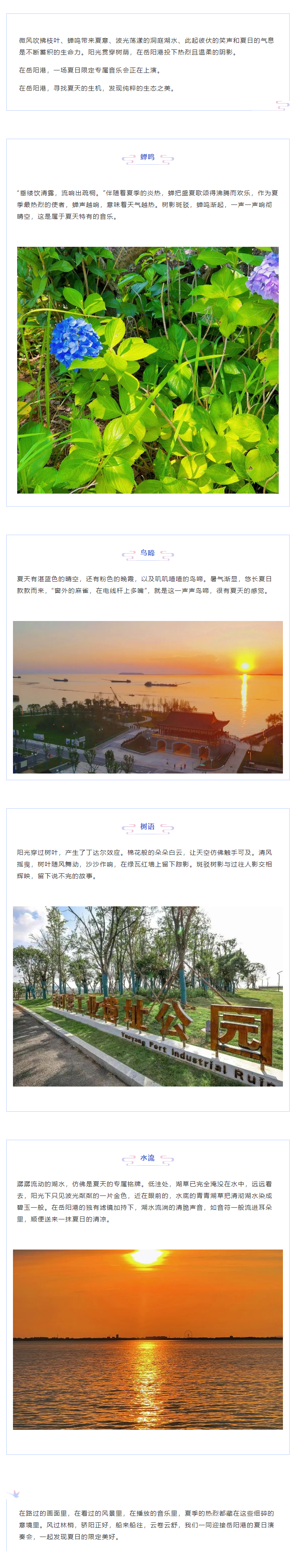 【夏日演奏會】在岳陽港，聆聽夏天的聲音.png